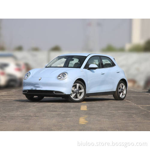 2022 New Car New Energy Vehicle price Hot Selling Chinese Electric Car Euler good cat 401km standard endurance type Electric Car